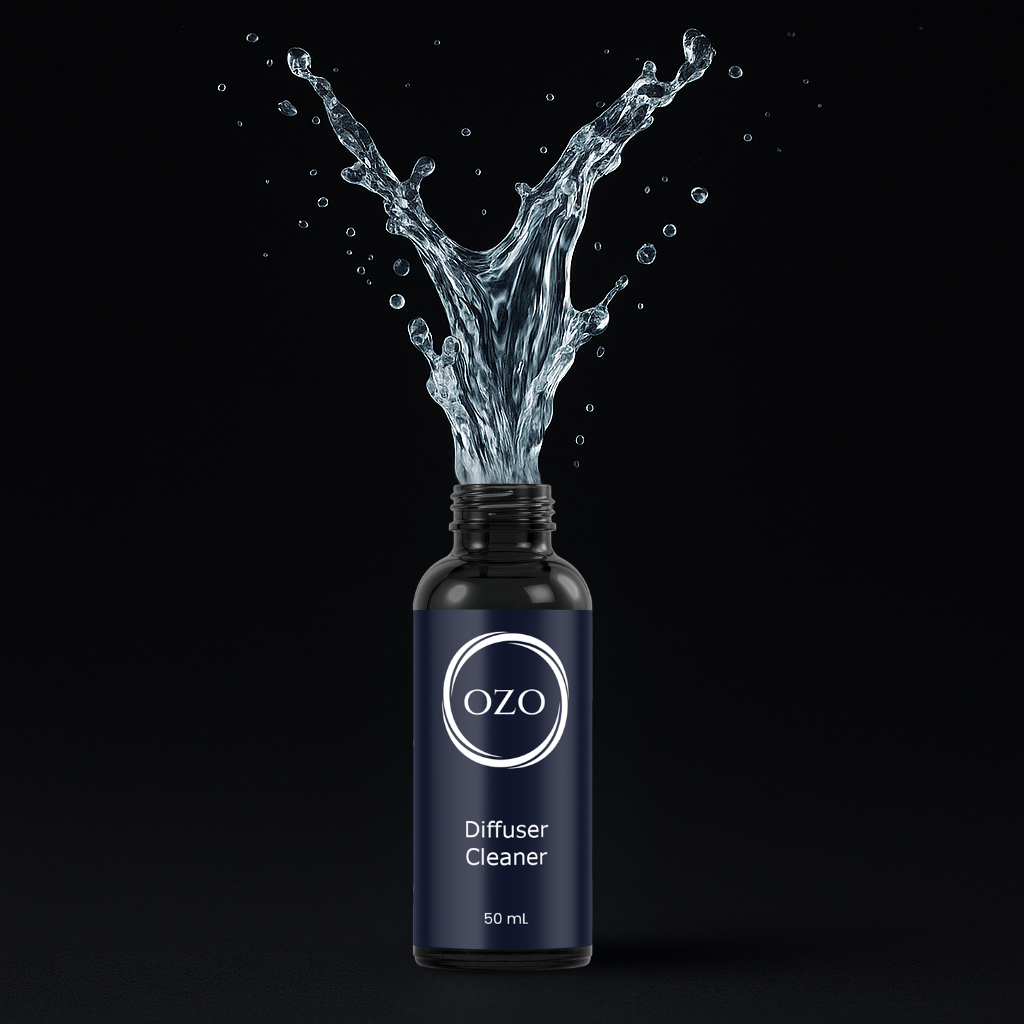 Elevé Discovery Collection