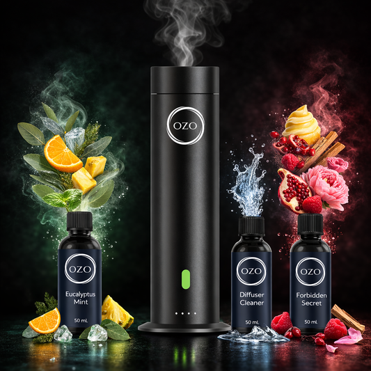 Elevé Discovery Collection