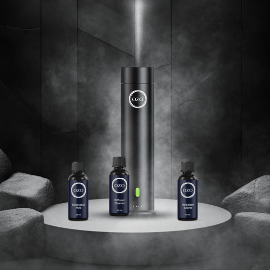 Elevé Discovery Collection