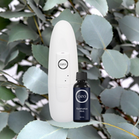 Eucalyptus Mint Bundle