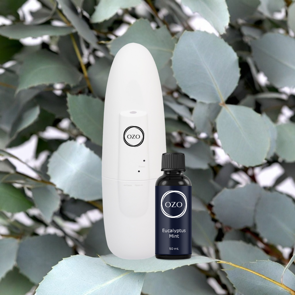Eucalyptus Mint Bundle
