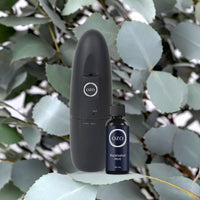 Eucalyptus Mint Bundle