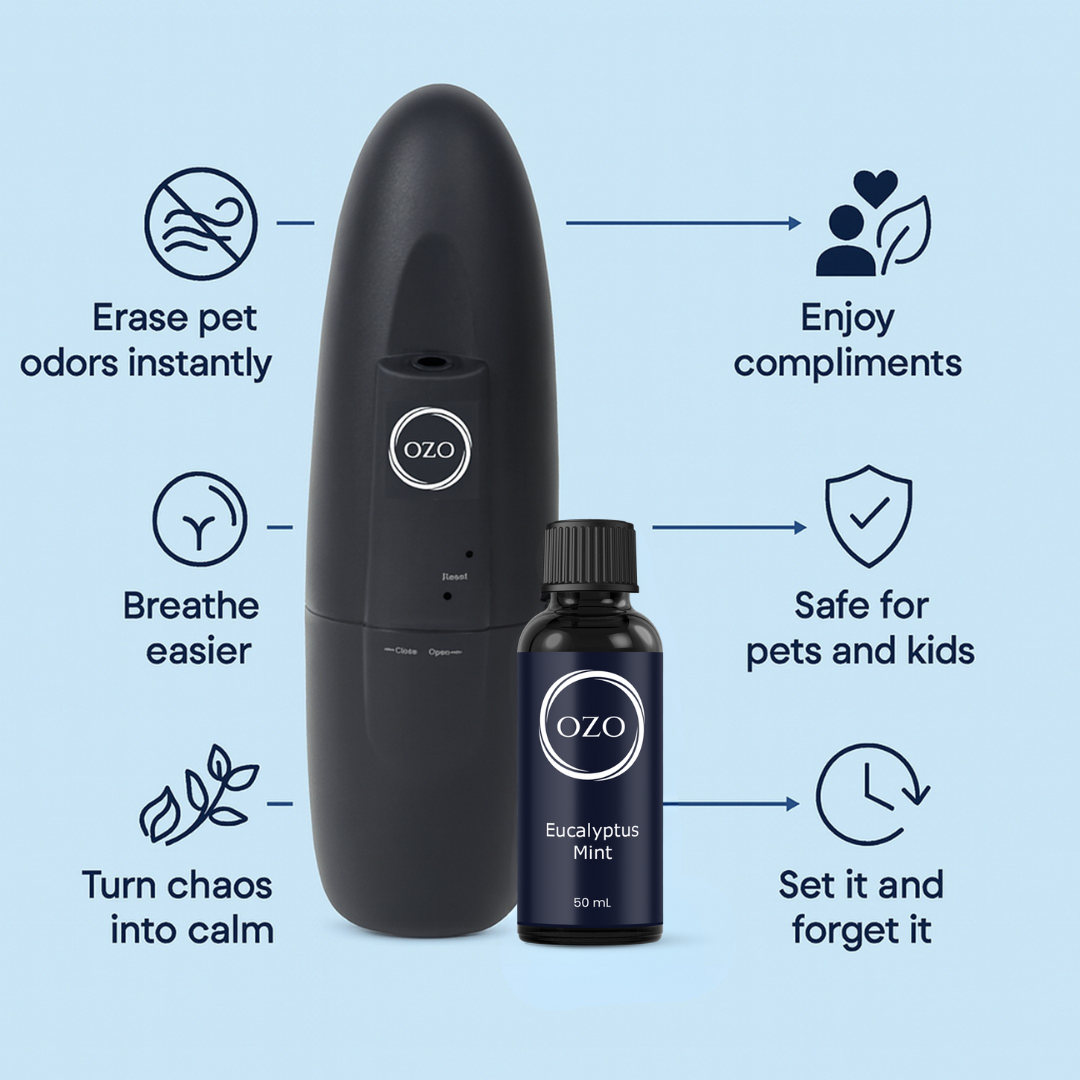 Eucalyptus Mint Bundle